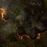 Si la sécheresse a contribué à favoriser la vague d'incendies, la plupart des feux ont été allumés délibérément pour défricher des terres à des fins agricoles, selon des experts. KEYSTONE/EPA EFE/RAPHAEL ALVES